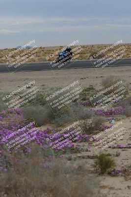 media/Jan-14-2023-SoCal Trackdays (Sat) [[497694156f]]/Turn 14 Exit Bloomig (145pm)/